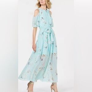 CALVIN KLEIN Elegant Floral Blue Maxi Dress Size 20W